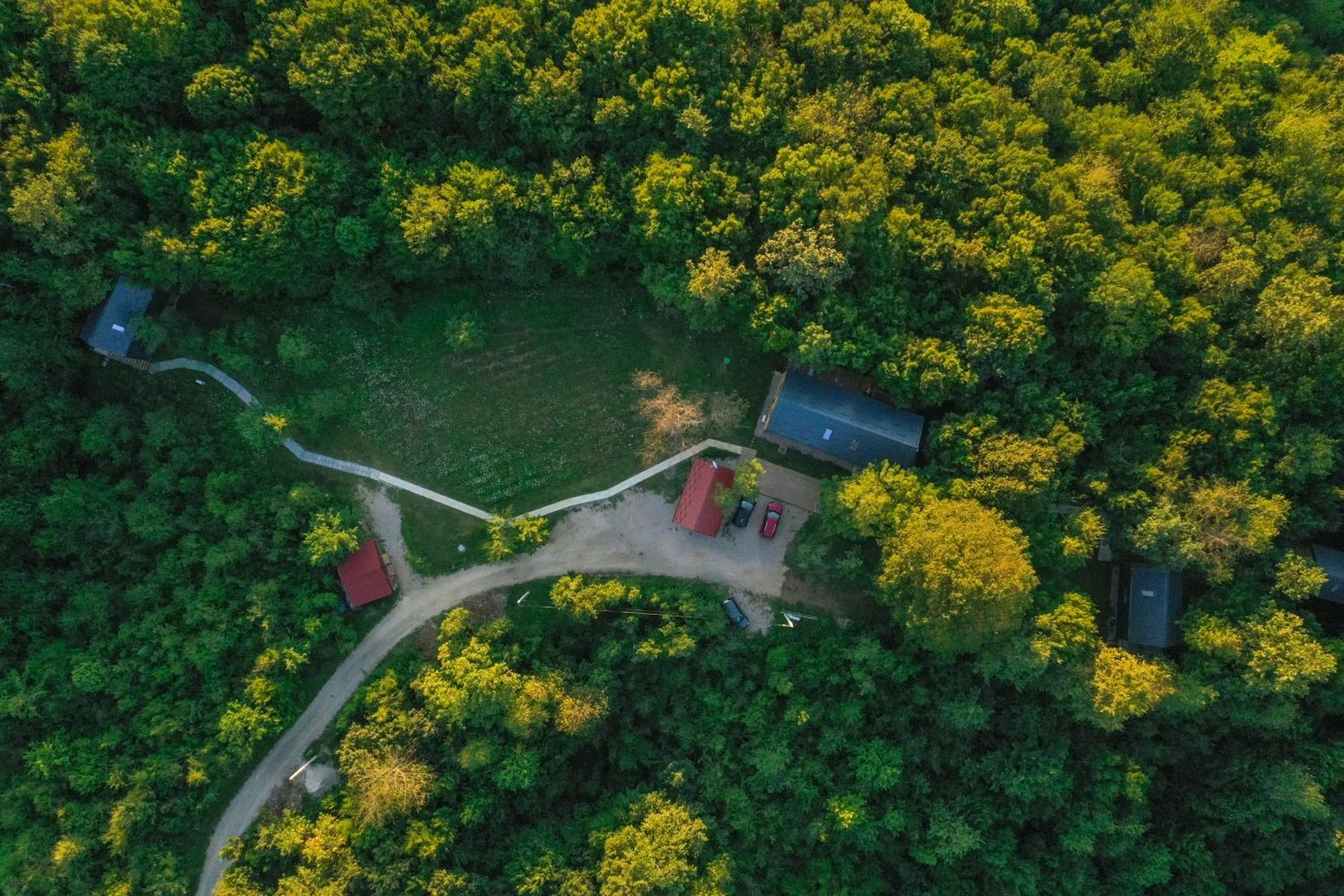 Ferienwohnung Tree Elements Treehouse Retreat Slunj Zimmer foto