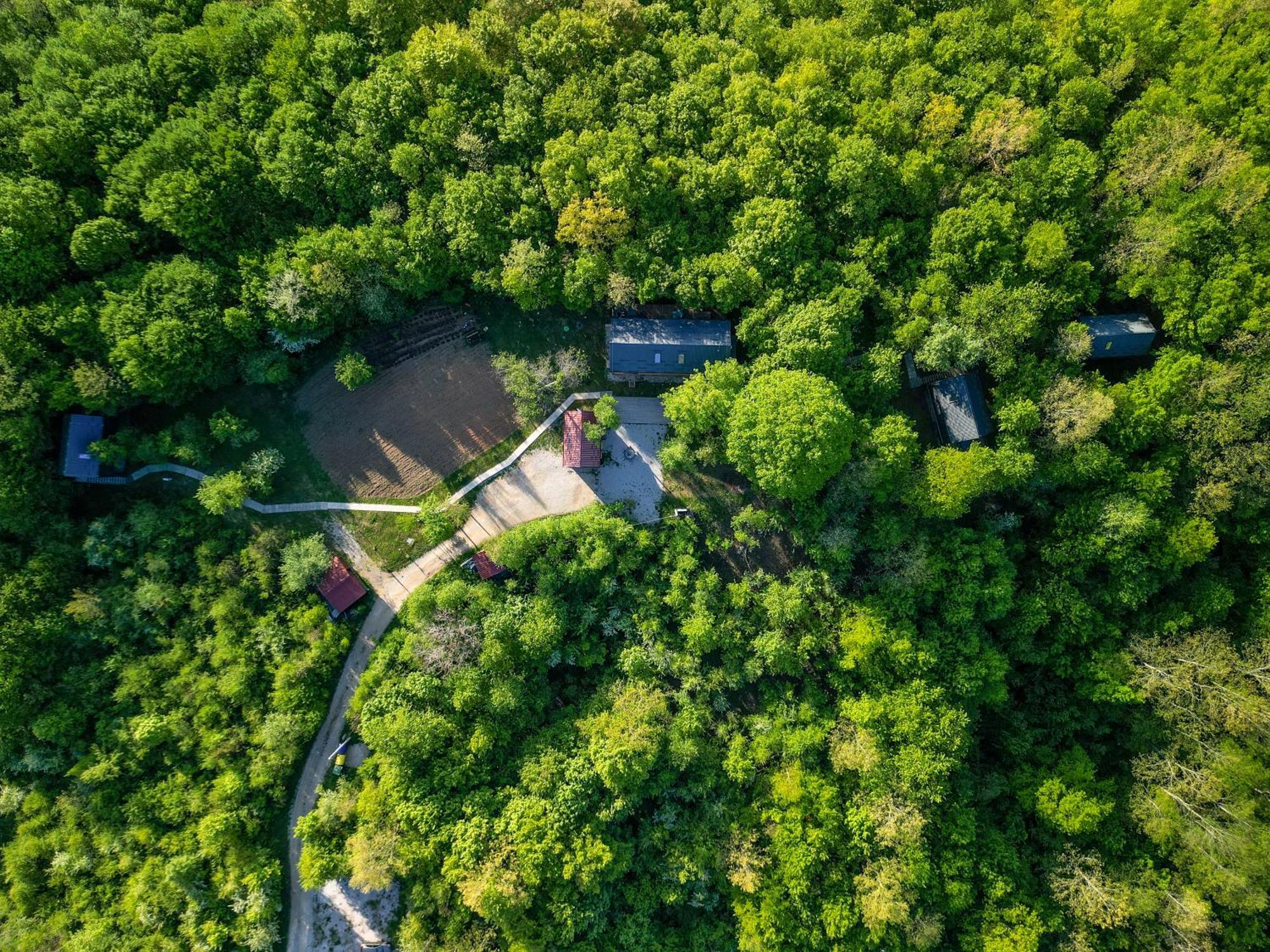 Ferienwohnung Tree Elements Treehouse Retreat Slunj Exterior foto